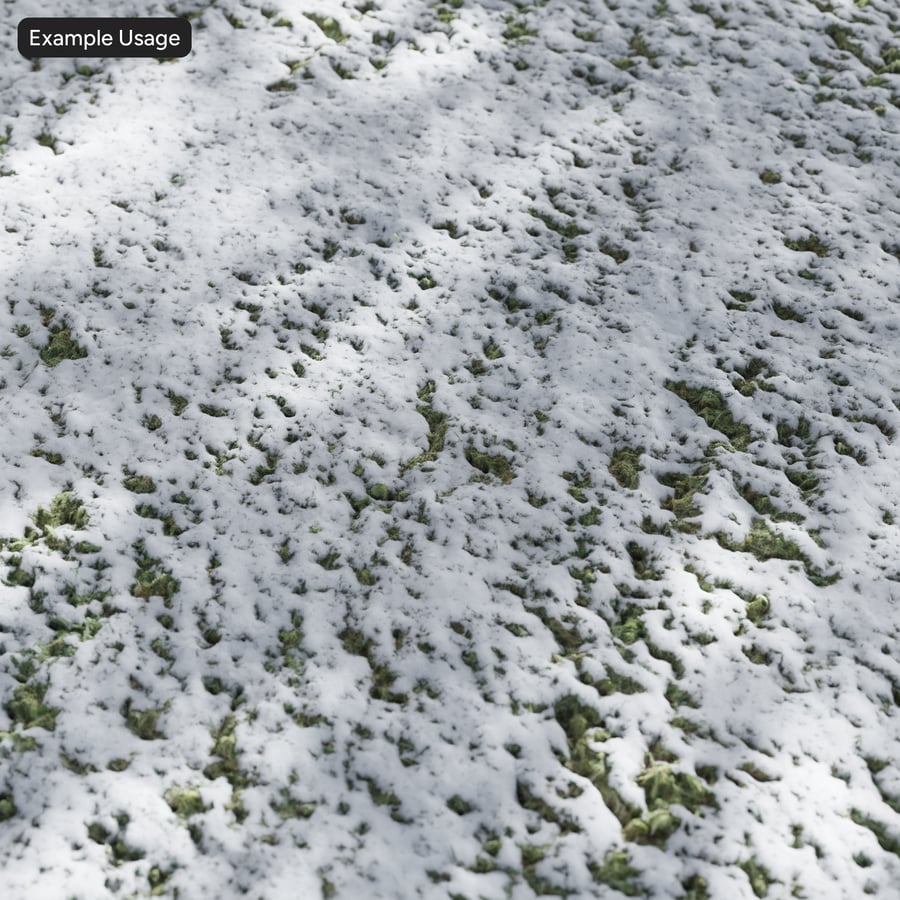 草地上的厚雪纹理