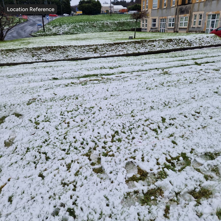 草地上的厚雪纹理