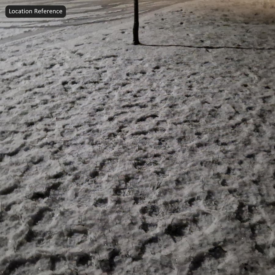 Texture erba innevata