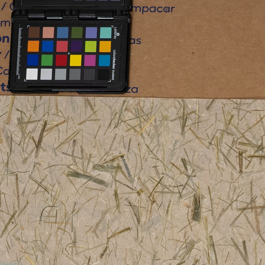 Thai Lemongrass Paper Texture