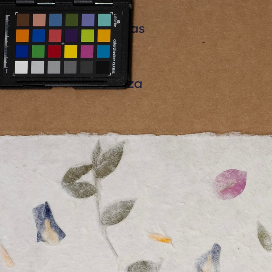 Textura de papel de morera con lirio, caléndula y buganvilla
