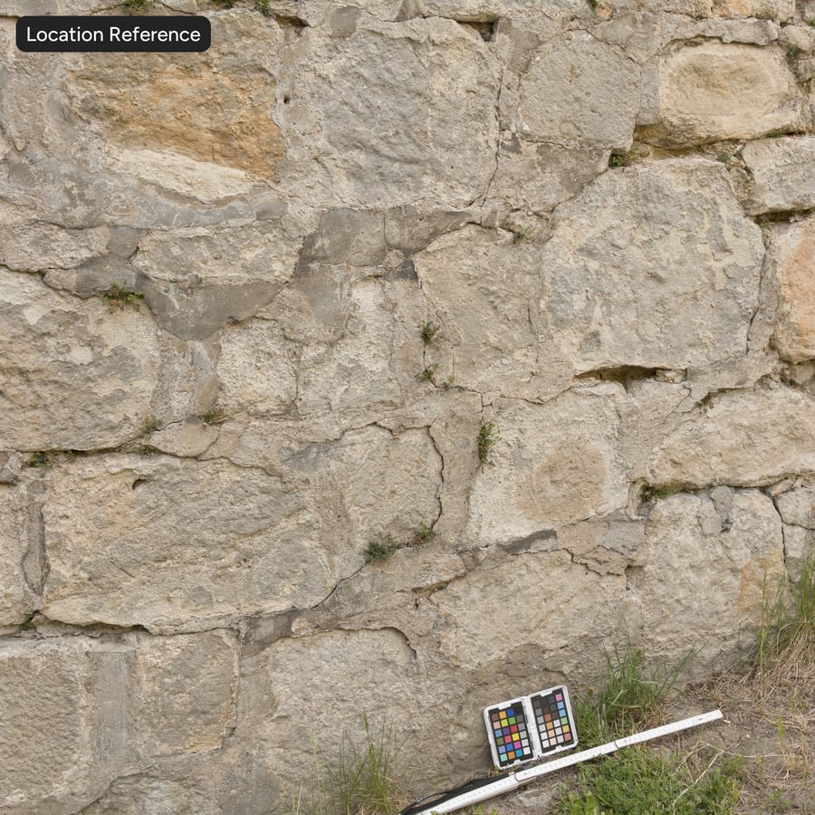 Bloco de pedra muito desgastado com textura de parede de ervas daninhas