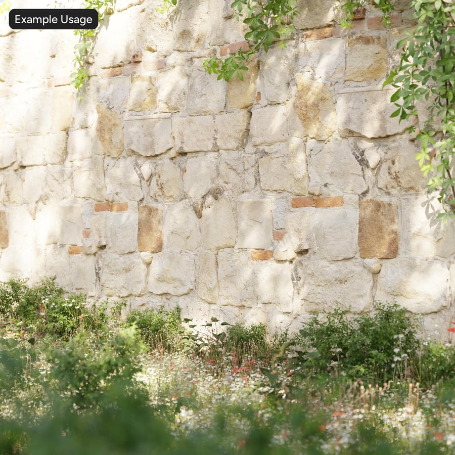 Gammal murad stenmur Textur, Beige