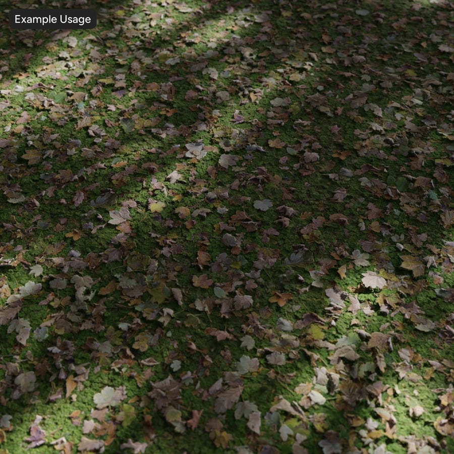 Texture des feuilles sur l'herbe