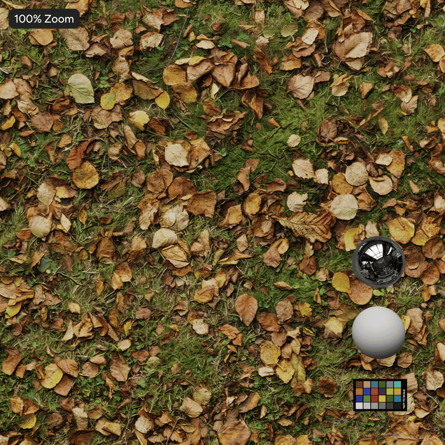 Folhas de outono sobre relva Textura
