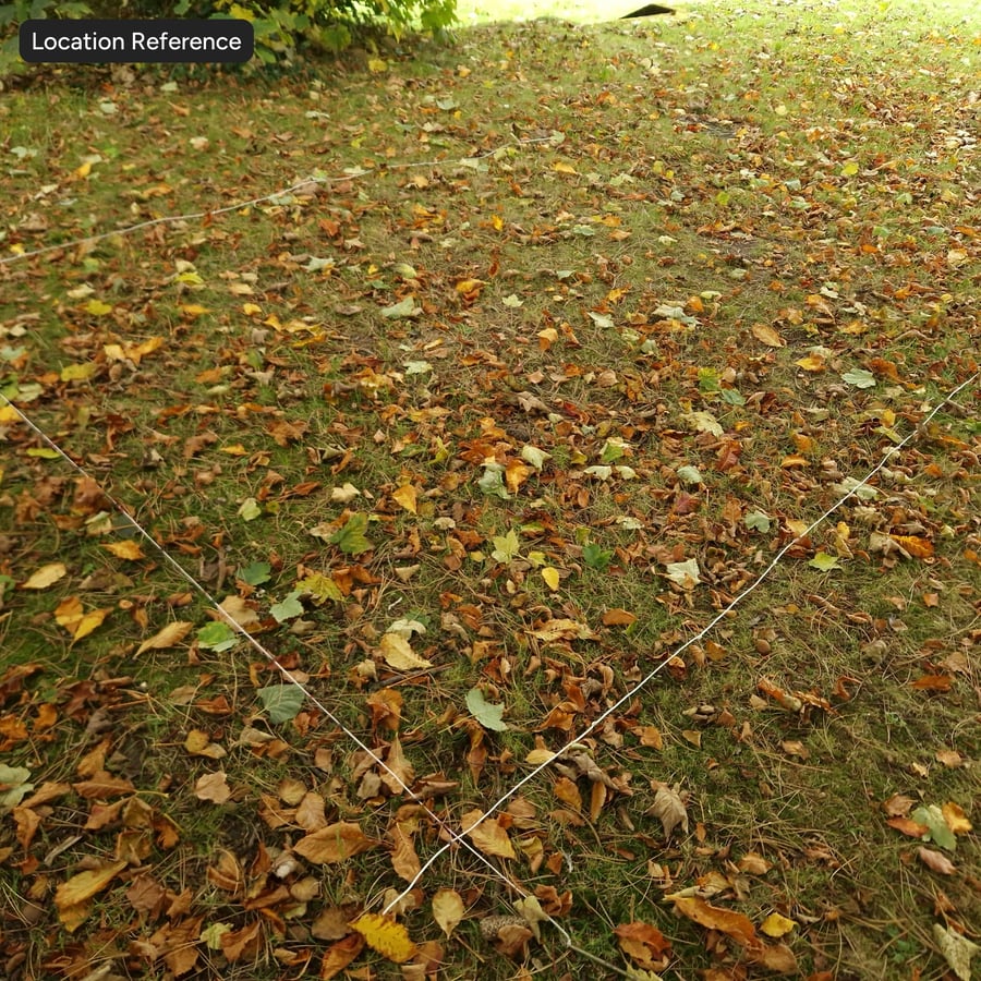 Verspreide herfstbladeren en dennen op grastextuur