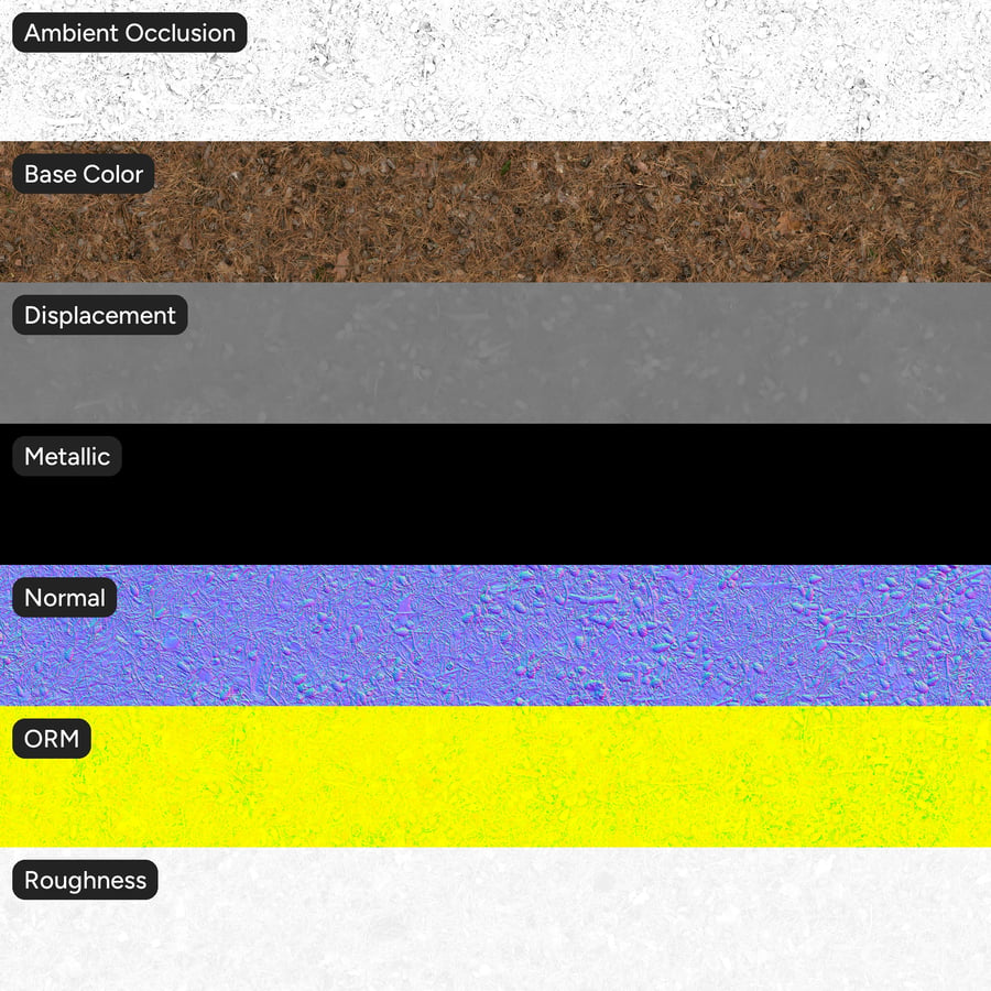 Folhas de coníferas caídas e pinhas Textura