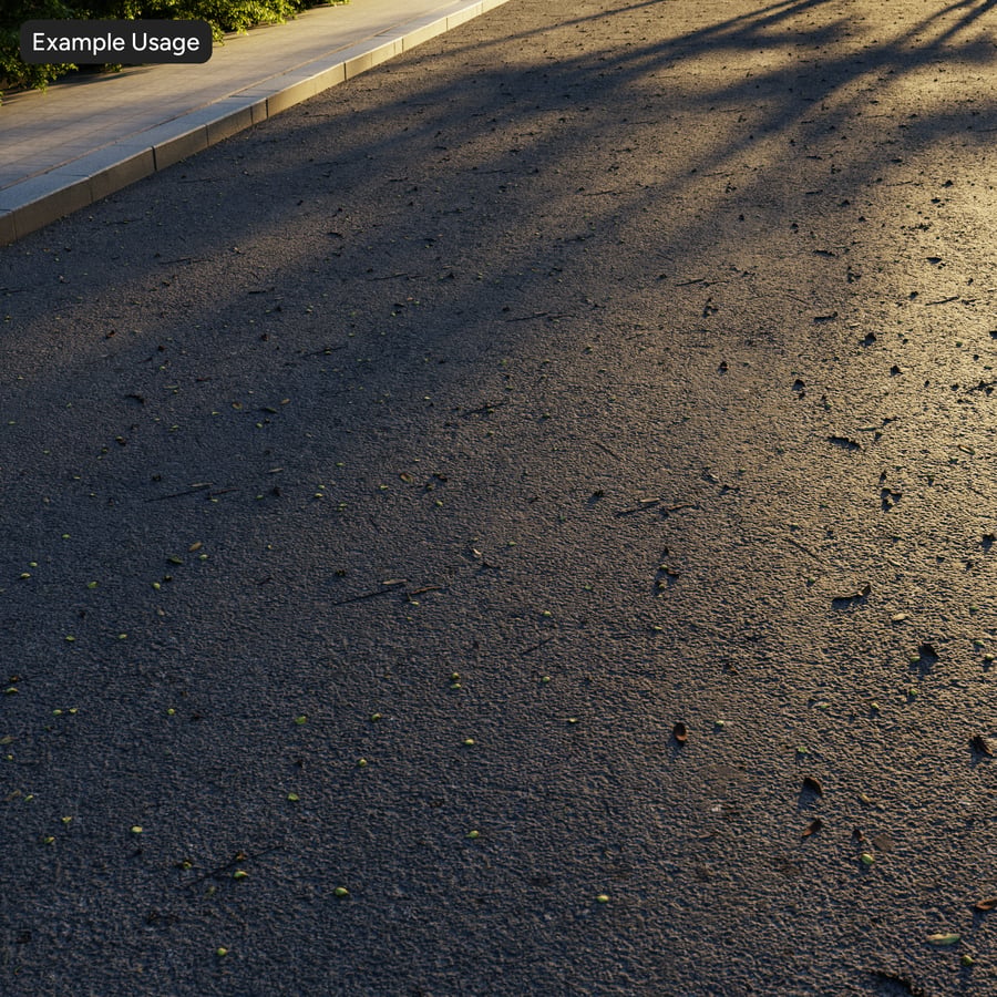 Fallen Leaves on Asphalt Texture