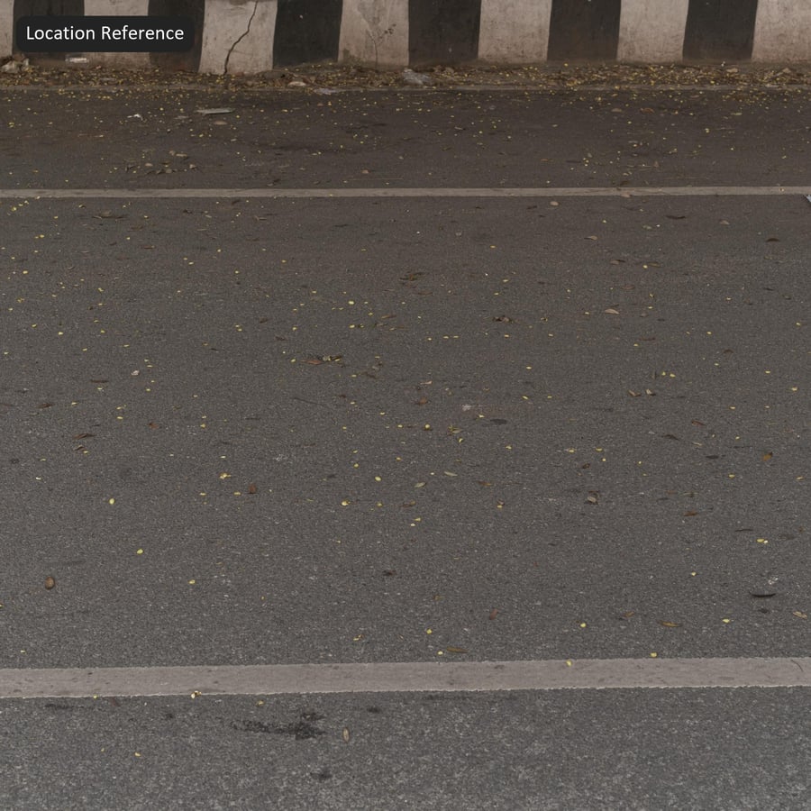 Fallen Leaves on Asphalt Texture