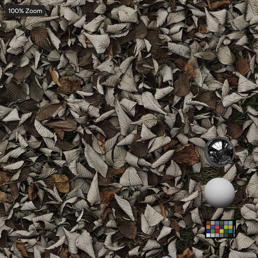 Texture des feuilles tombées sur l'herbe