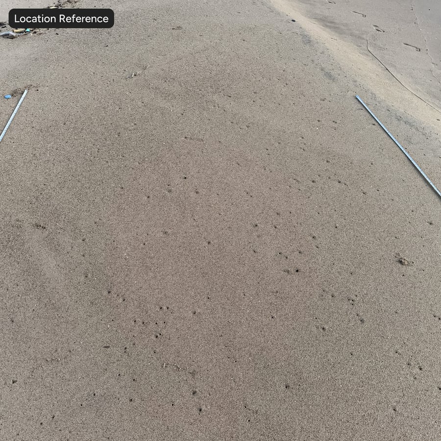 Textura de areia de praia úmida