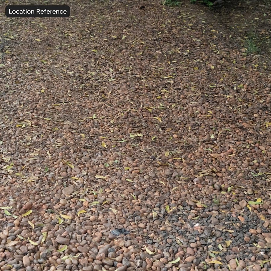 Hojas de otoño sobre textura de grava rocosa