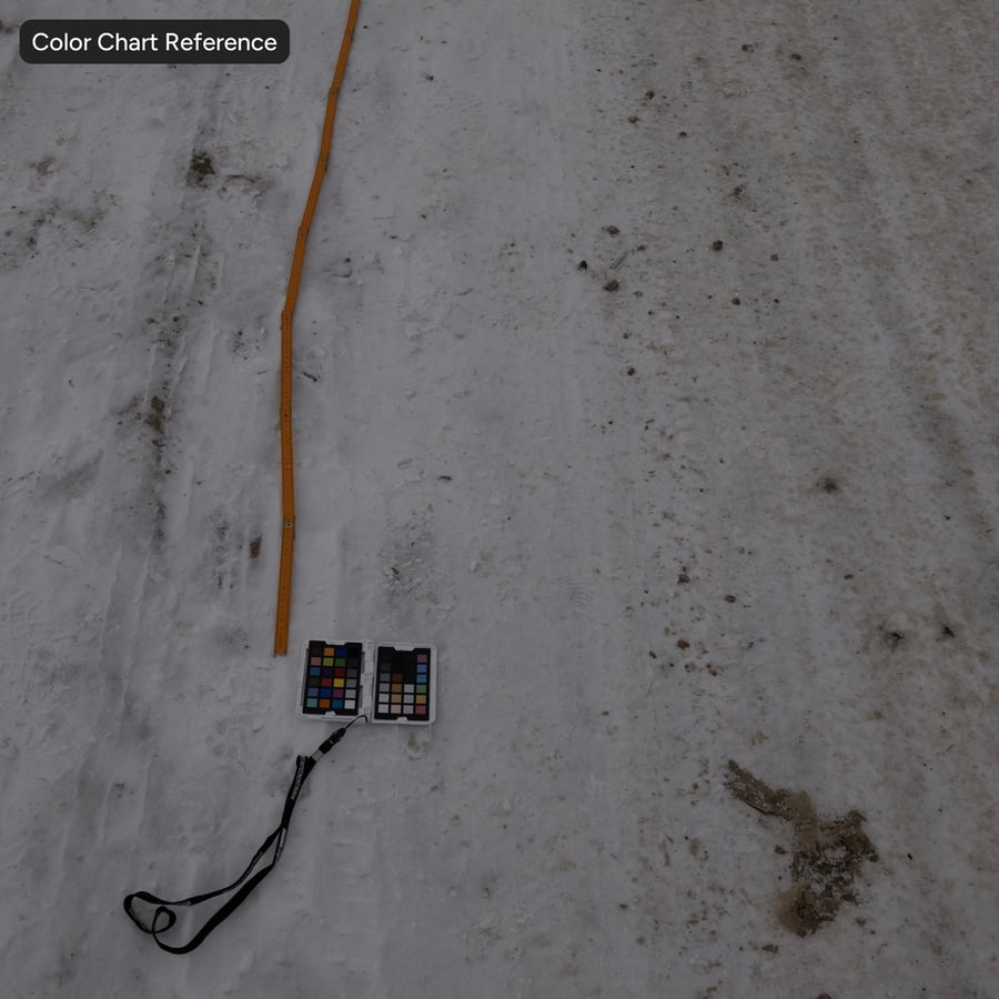 Marcas de pneus na textura da neve