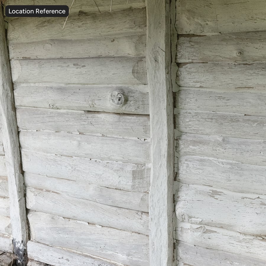 Painted Wood Log Siding Wall Texture, White