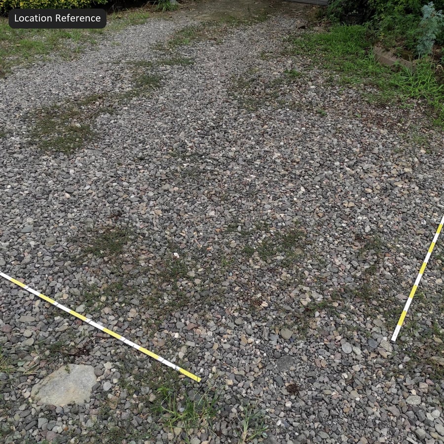 Grass on Compact Gravel Textúra