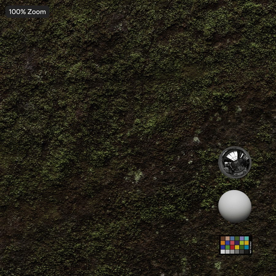 Mossy Cliff Rock Texture