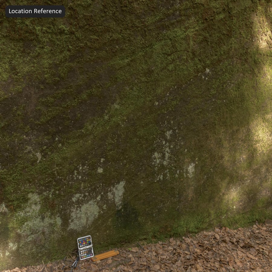 Mossy Cliff Rock Texture