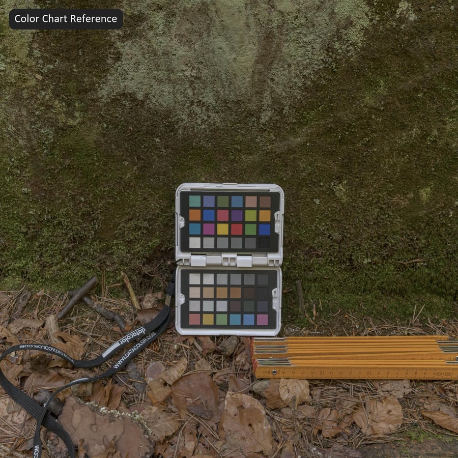 Mossy Cliff Rock Texture