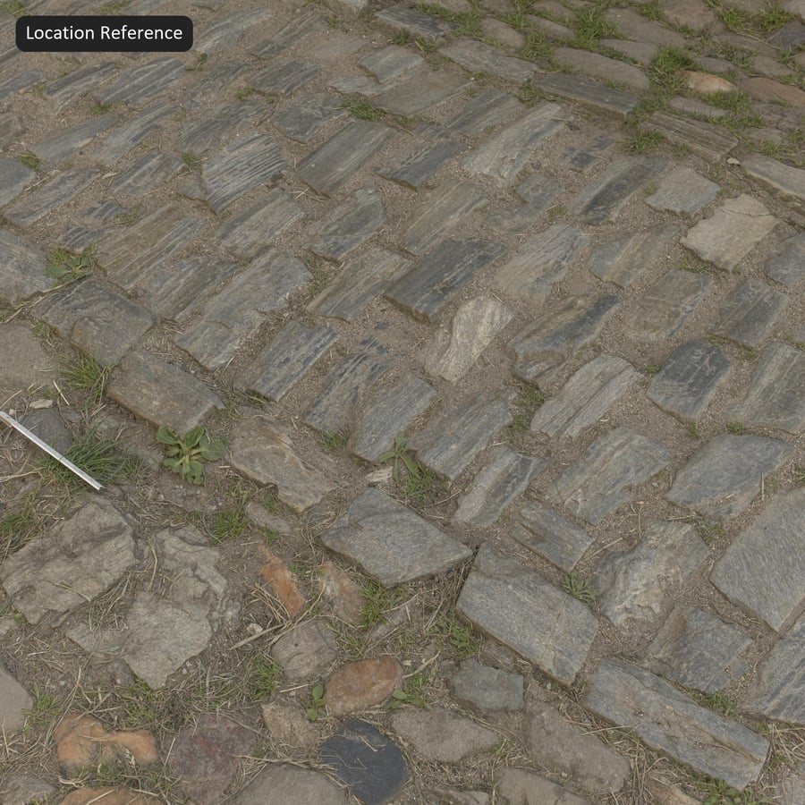 Grass Pathway on Cobblestone Paver Texture