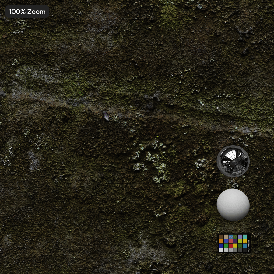 Mossy Cliff Rock Texture