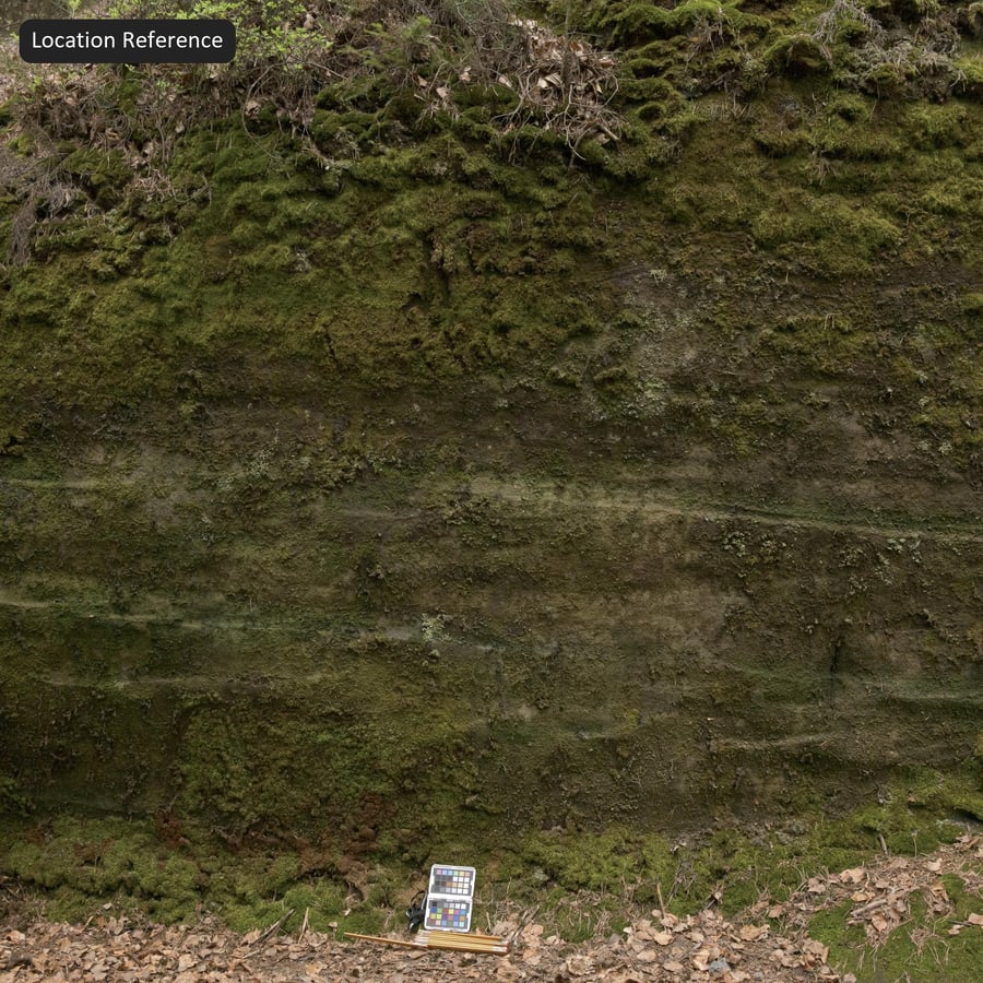Mossy Cliff Rock Texture