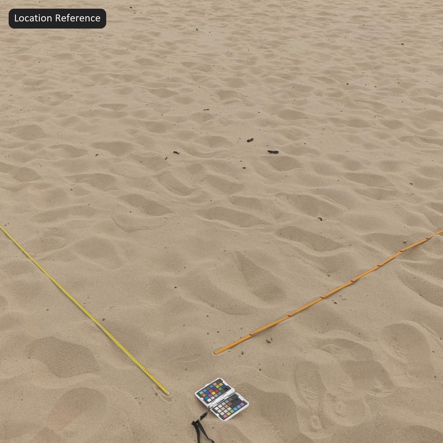 Voetafdruk op gegolfd zand