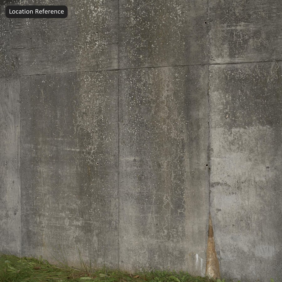 Flechtenbewachsene Betonwand-Textur