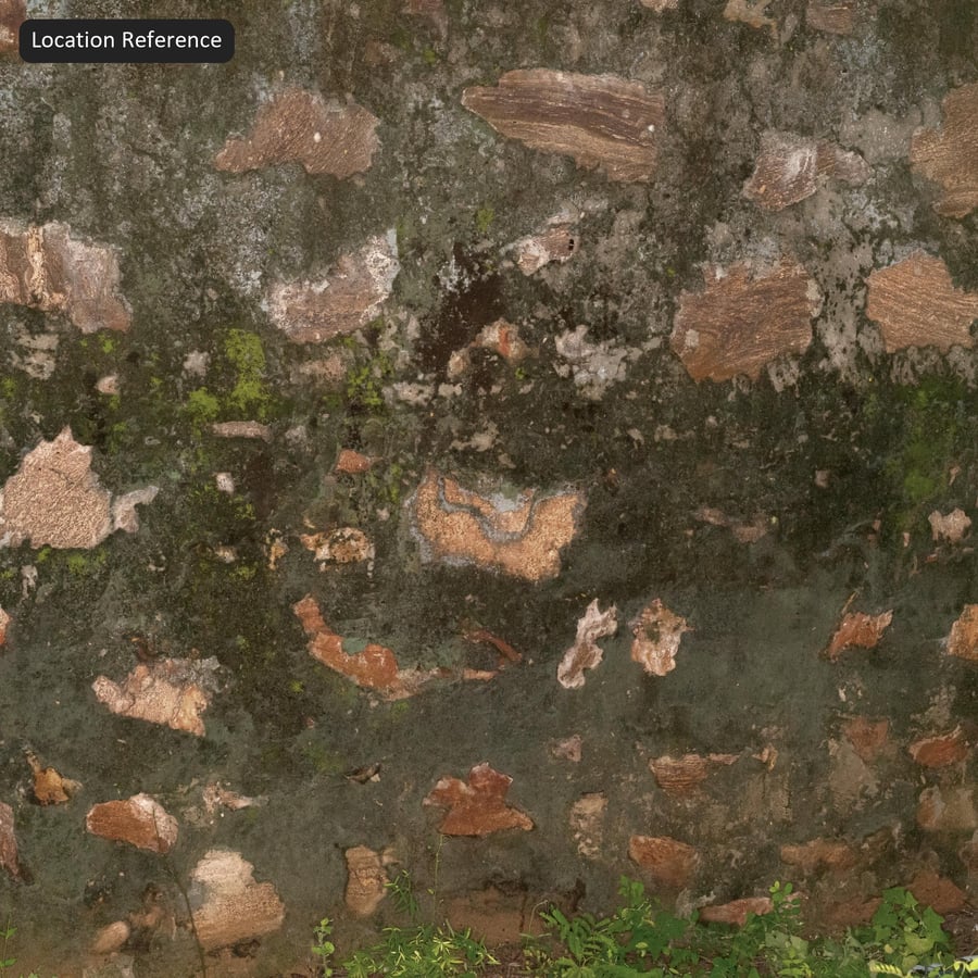 Textura sucia de piedra musgosa