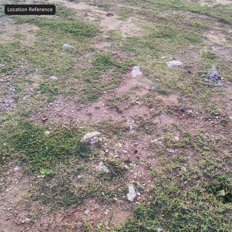 Versleten, gehavende gras- en aardegrondtextuur, zandbeige