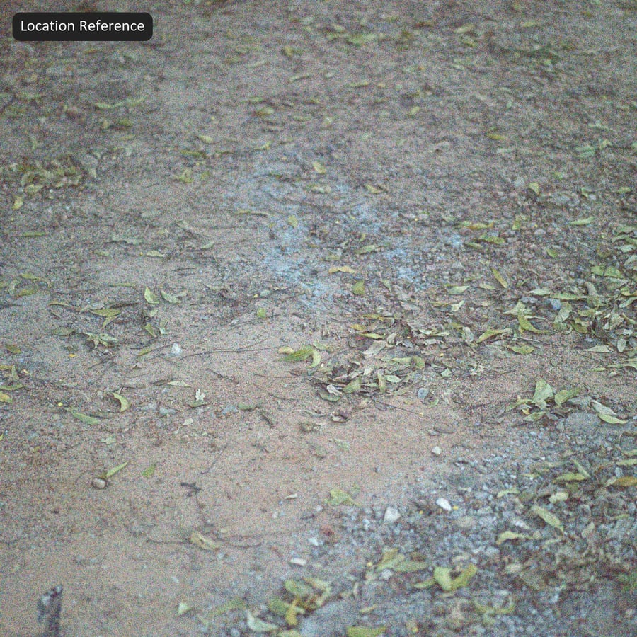 Dry Earth Ground Texture with Fallen Leaves, Sandy Tan