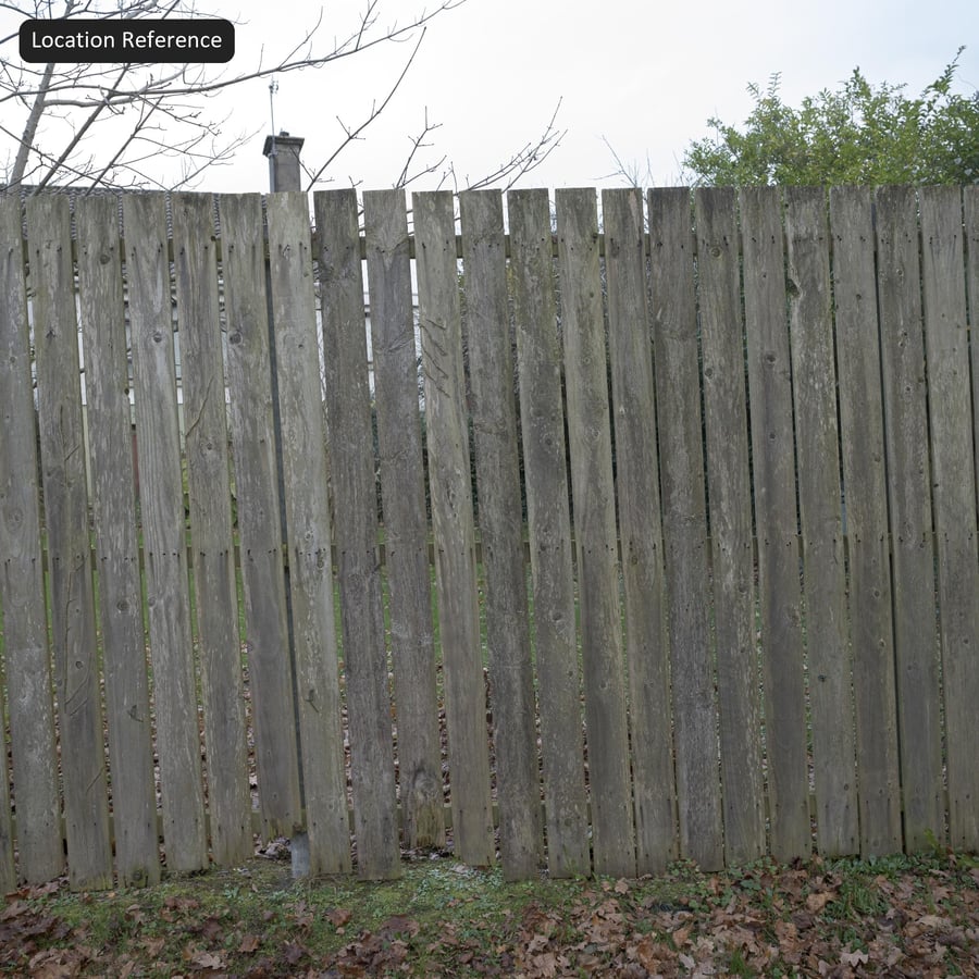 Mosachtige Houten Schutting Structuur