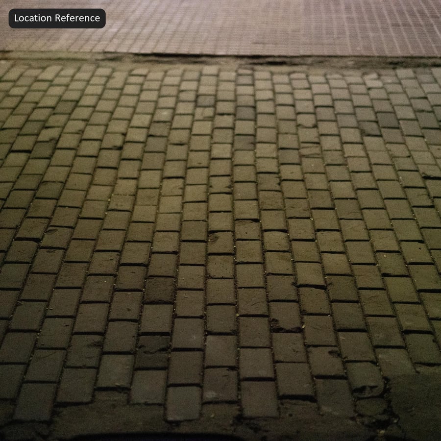Fallen Leaves on Paver Texture