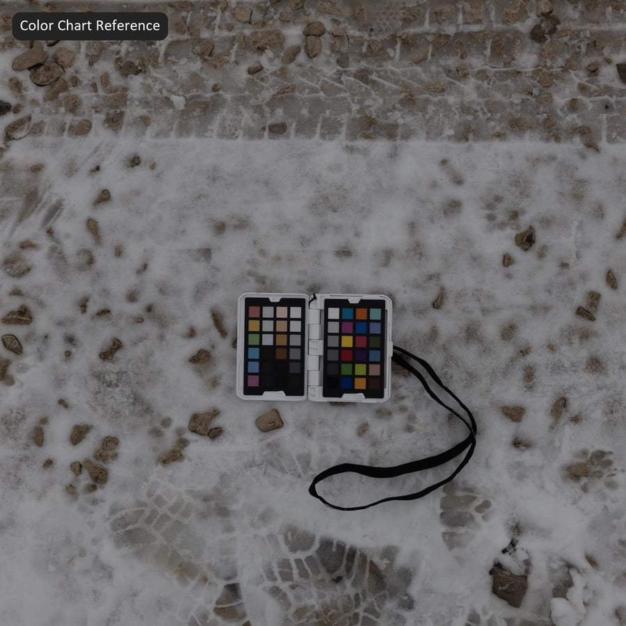Texture di tracce di pneumatici su neve a corsia singola
