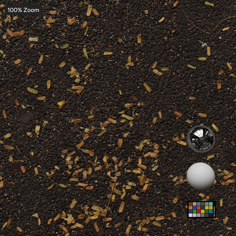 Fallen Leaves on Asphalt Texture, Gray