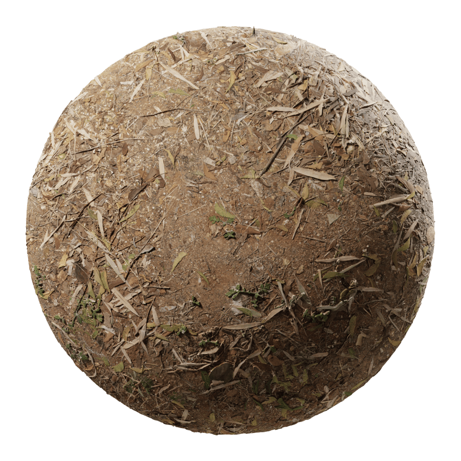 Fallen Leaves on Dirt Texture