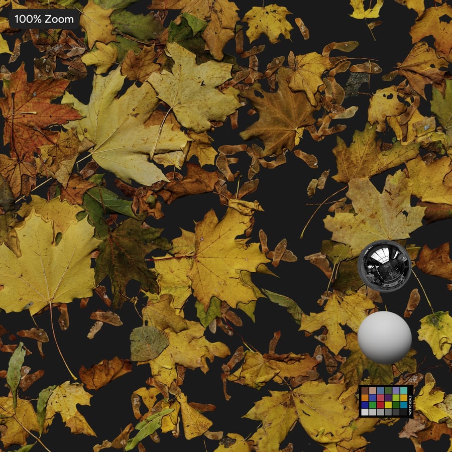 Decal met herfstbladeren