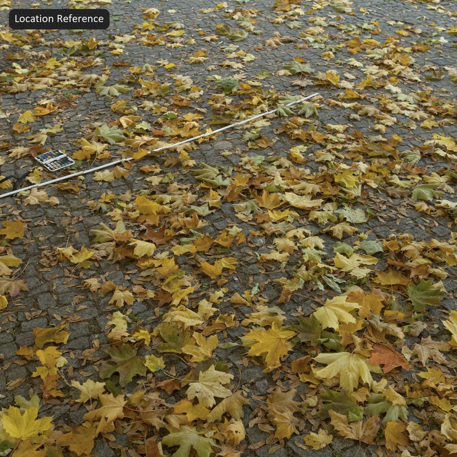 Decal met herfstbladeren