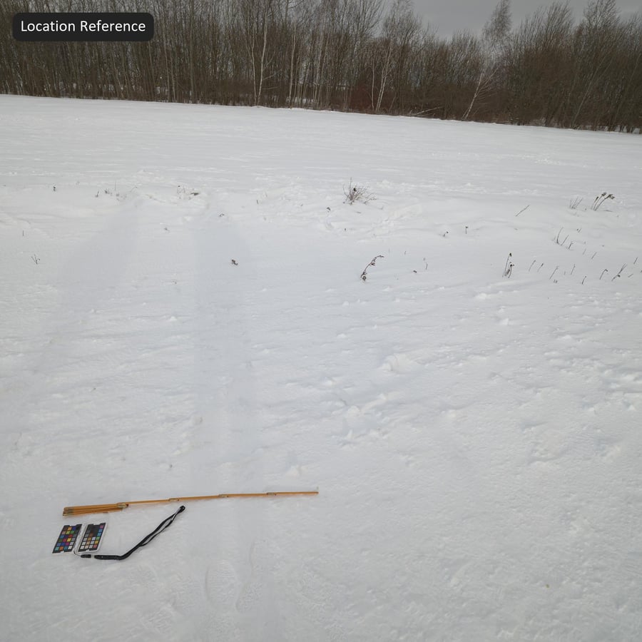 新雪纹理
