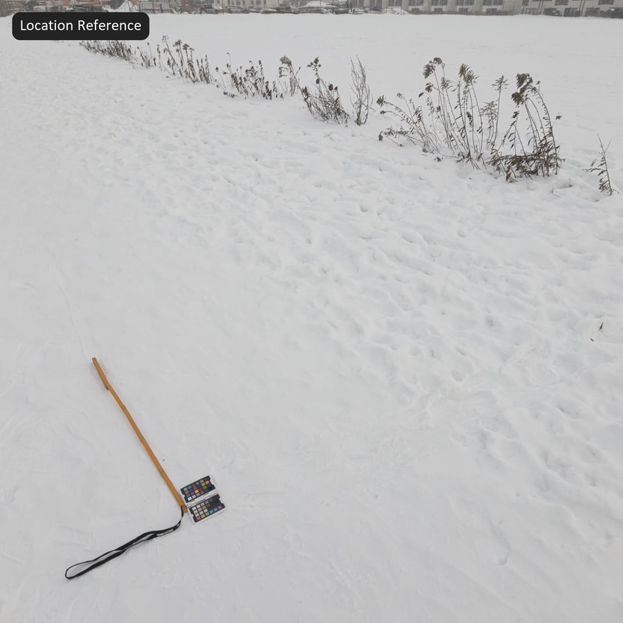 踩踏过的积雪地面纹理，白色