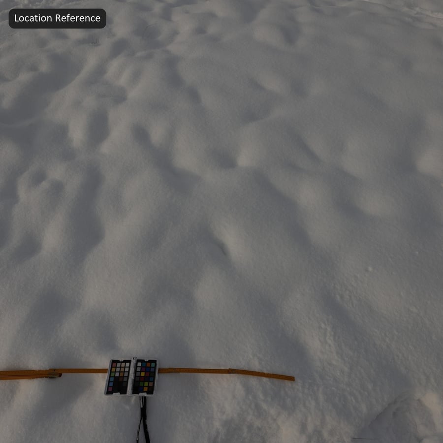 Texture de neige épaisse