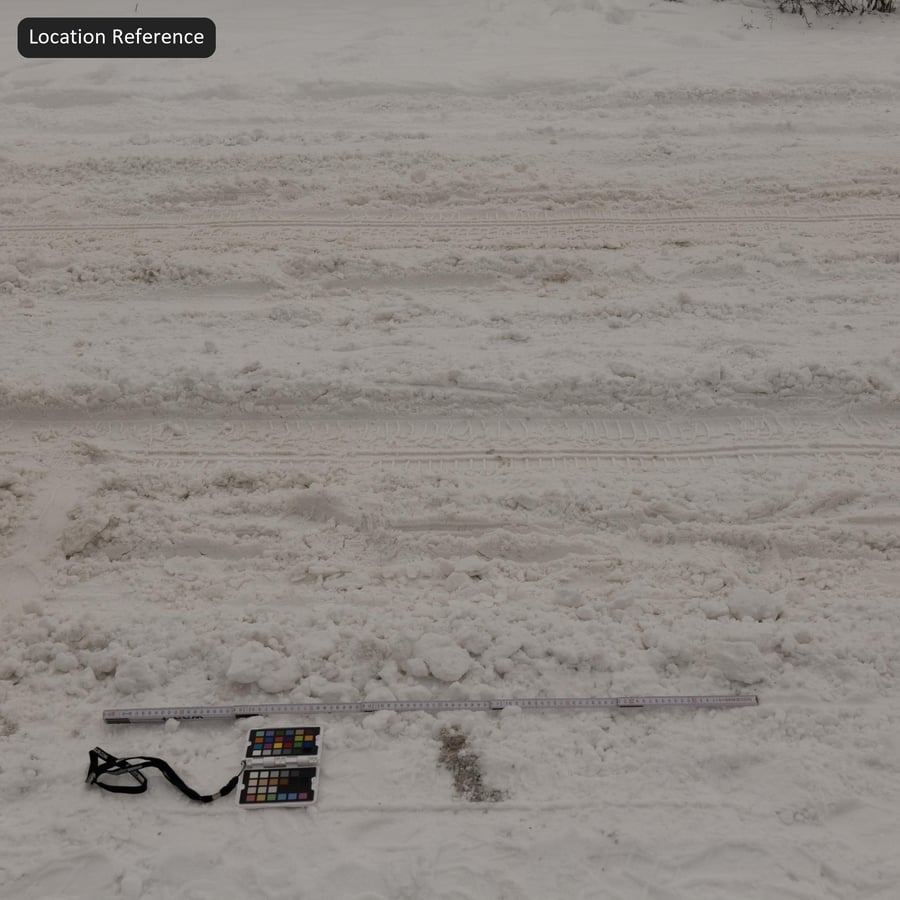 Tire Marks on Single Lane Thick Snow Texture
