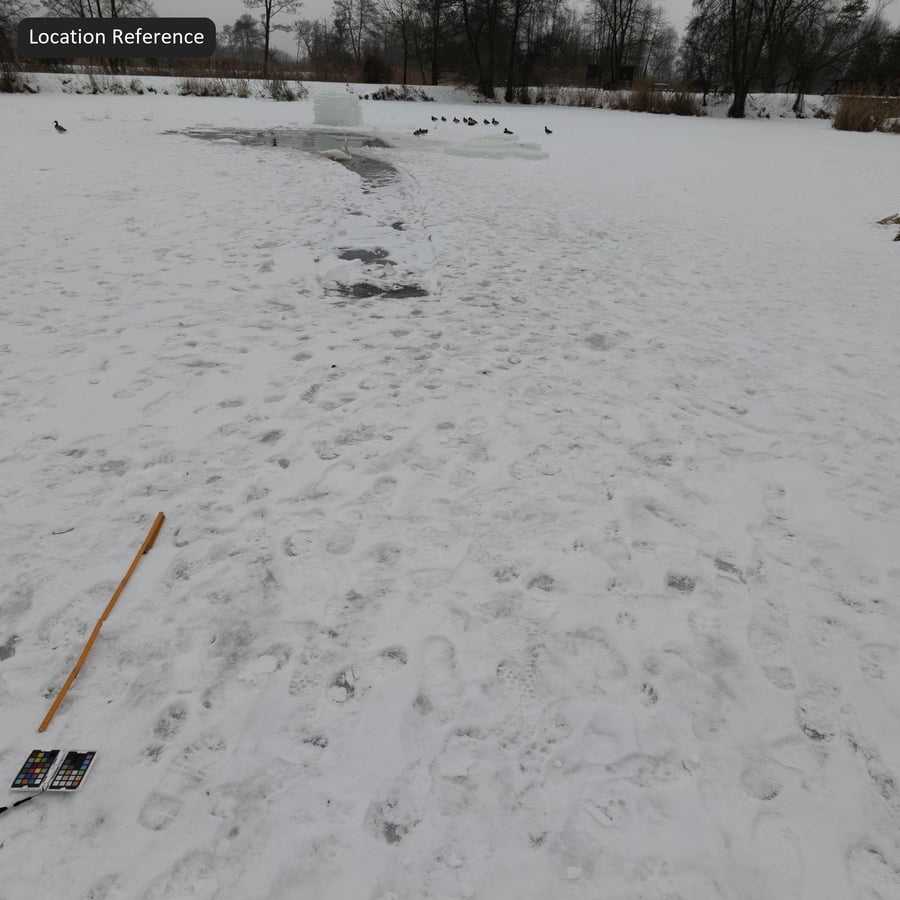 Texture di impronte sulla neve fresca