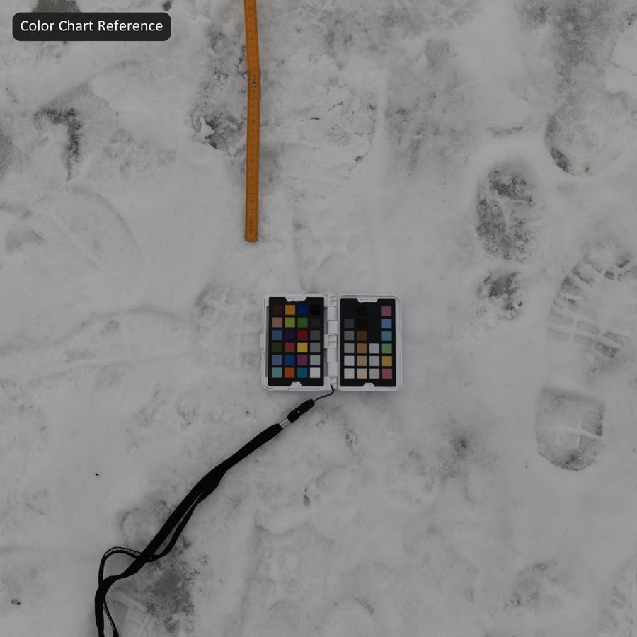 Texture di impronte sulla neve fresca