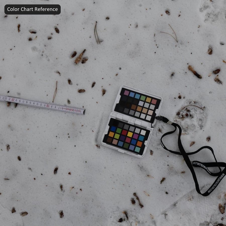 雪上のゴミと足跡のテクスチャ