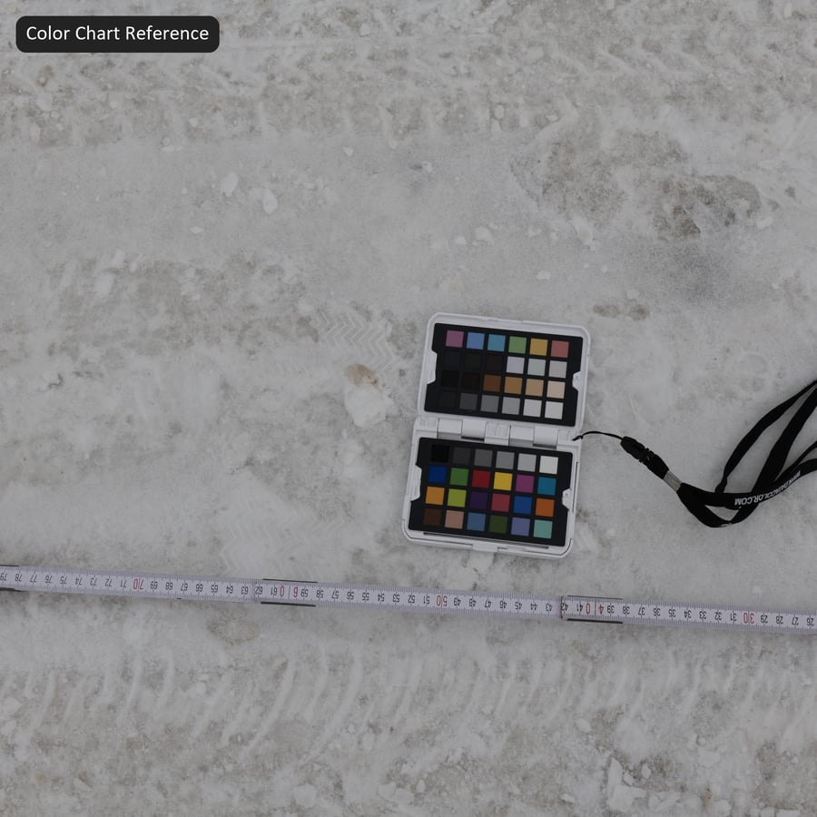 Segni di pneumatici e impronte su texture di neve a corsia singola