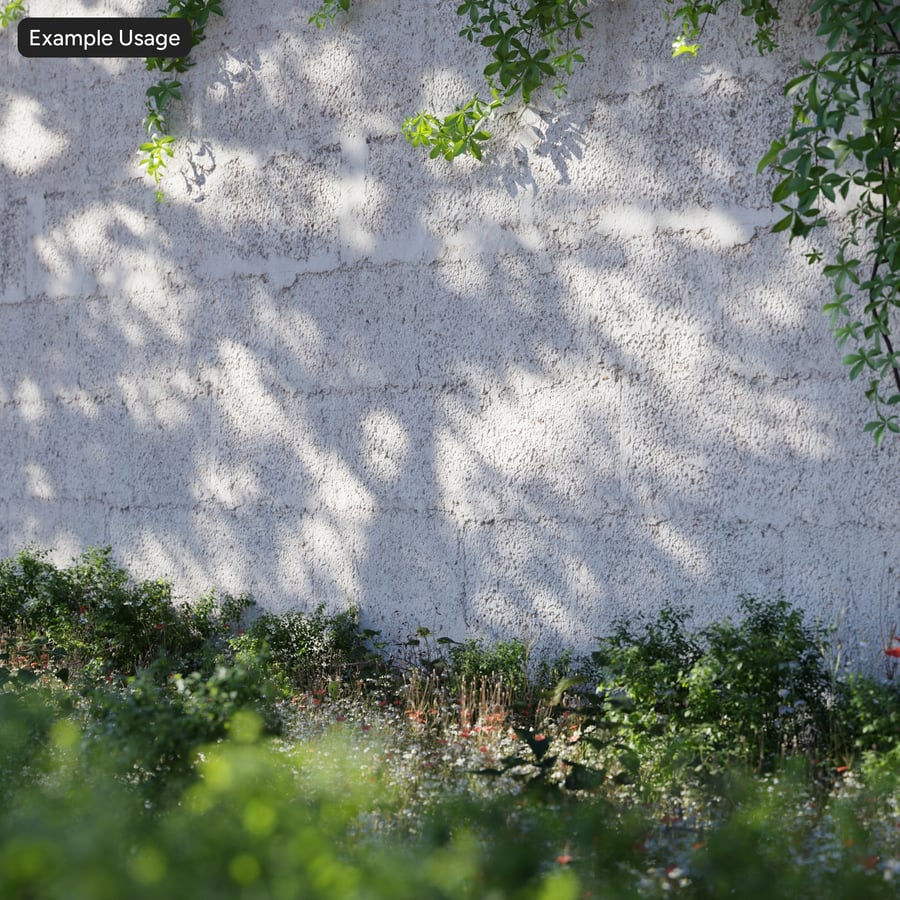 Coarse Stippled Cement Wall Texture, Off White