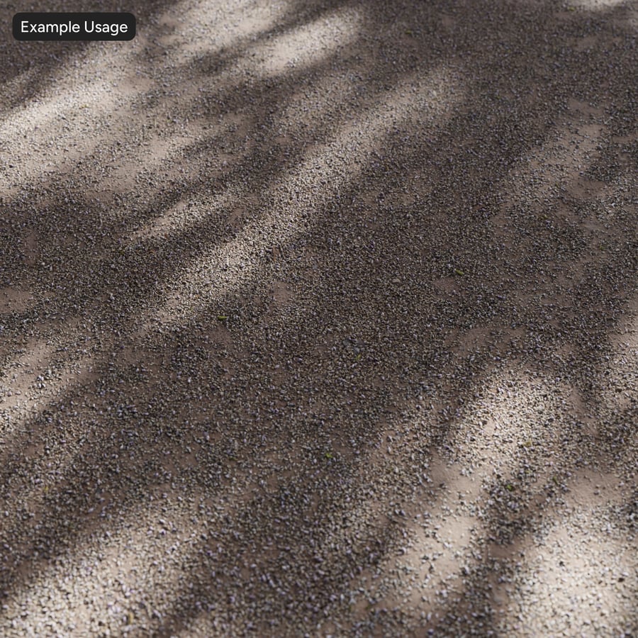 Scattered Dried Flower Petal on Ground Texture