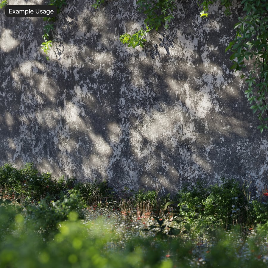 Lichen Covered Concrete Wall Texture