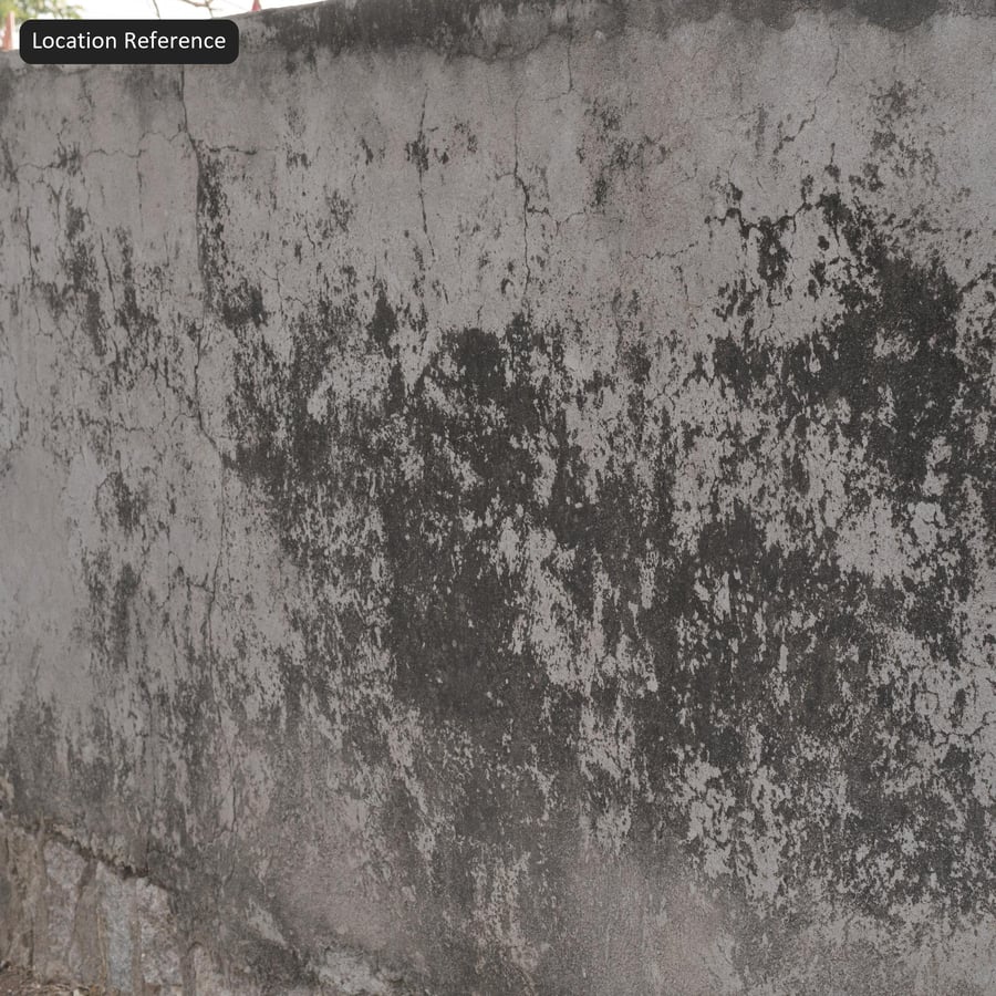 Lichen Covered Concrete Wall Texture