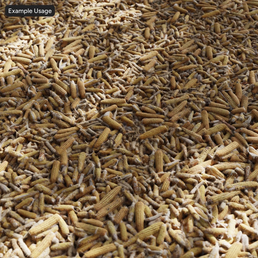 Dried Corn Cob Pile Texture